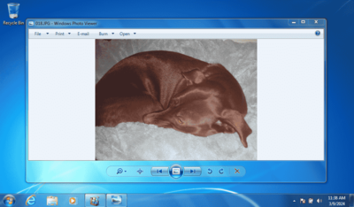 image file of winston displaying within a windows 7 desktop environment