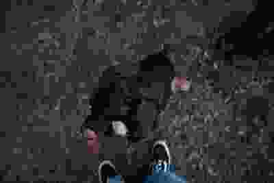 Black dog lying on gravel with a colorful toy