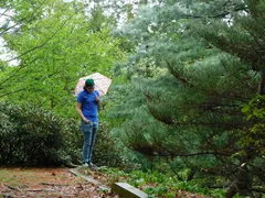 A person with shoulder-length brown hair and glasses is looking down at the ground facing the camera. They are wearing a green beanie, a dark blueberry colored shirt, light blue jeans and vans. They have a small keyring clipped into a belt loop, their right hand is in their pocket and their left hand is holding an umbrella with multicolored strawberries printed on it. The image is framed by a forest with a pine tree on the right side (the person's left) and other deciduous trees on the left.